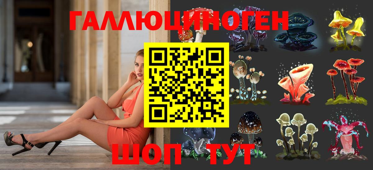 Клинцы  Псилоцибиновые грибы Psilocybe  Вход с VPN 